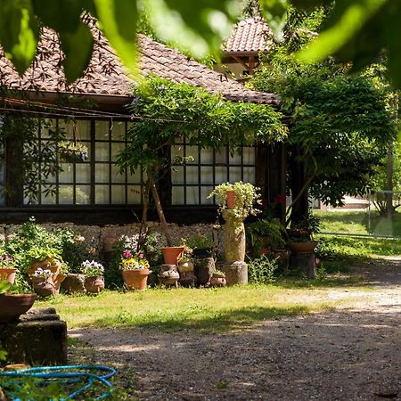 Chale Da Quinta "Lavoura Da Bouca - Fruta Bio" Guest House Celorico De Basto Exterior photo