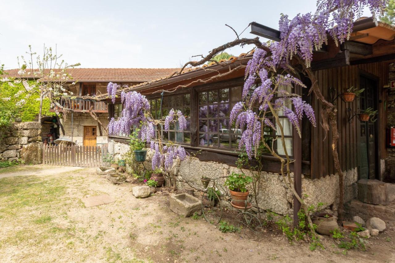 Chale Da Quinta "Lavoura Da Bouca - Fruta Bio" Guest House Celorico De Basto Exterior photo