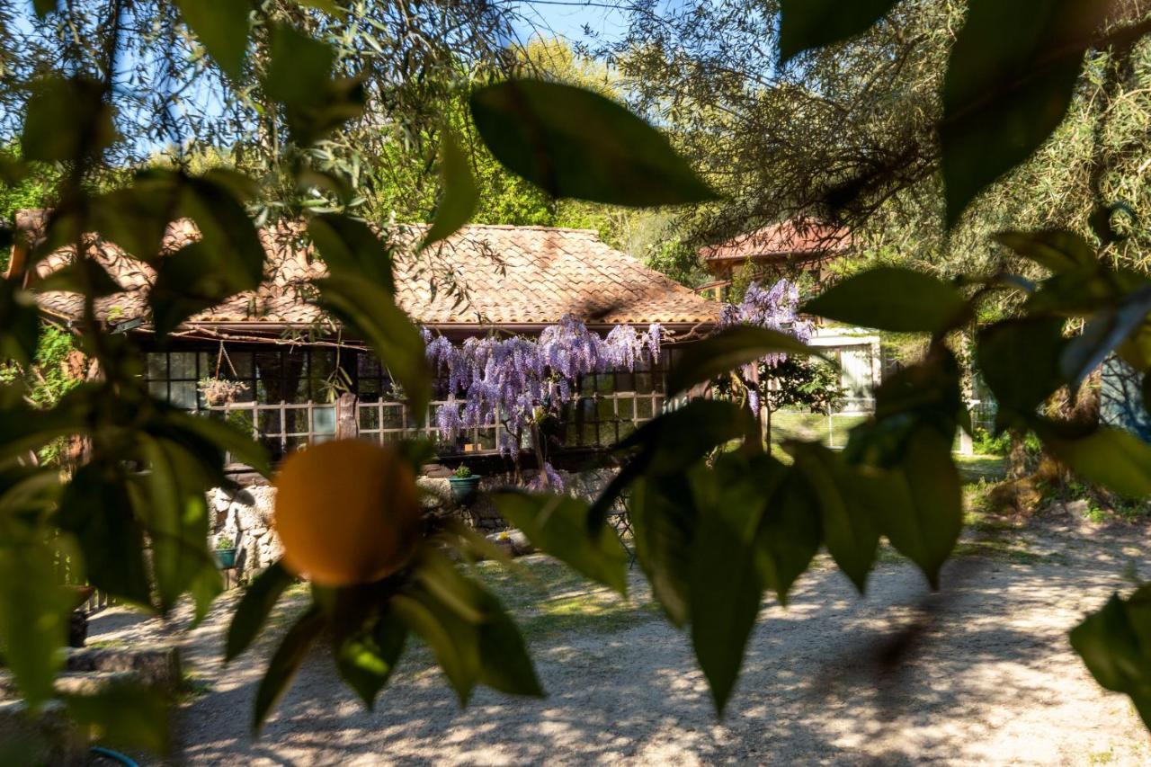 Chale Da Quinta "Lavoura Da Bouca - Fruta Bio" Guest House Celorico De Basto Exterior photo