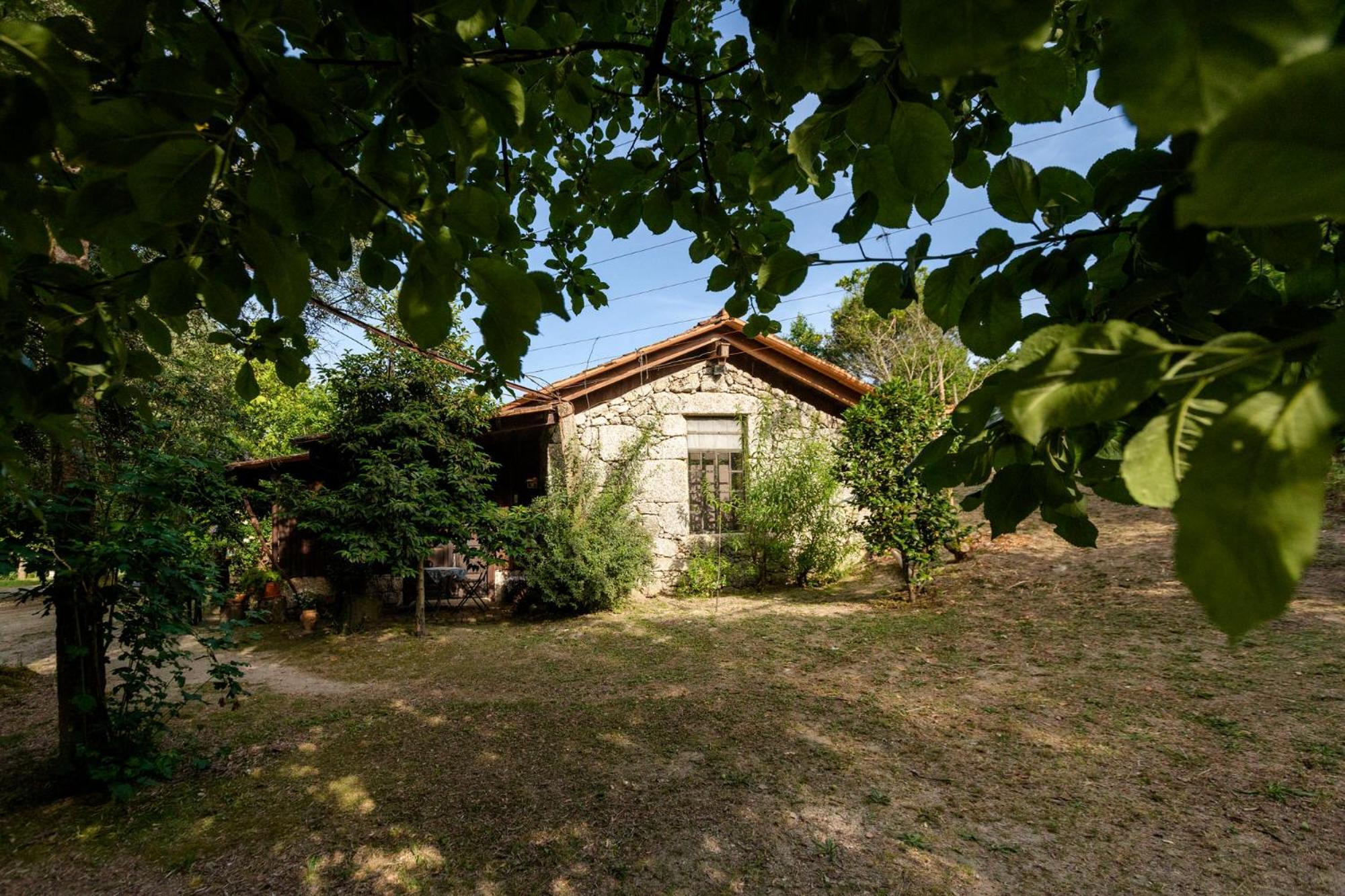 Chale Da Quinta "Lavoura Da Bouca - Fruta Bio" Guest House Celorico De Basto Exterior photo